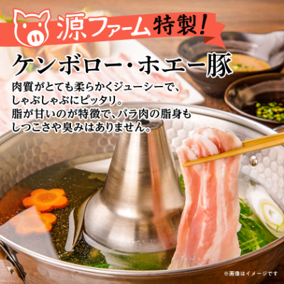 ケンボロー・ホエー豚 しゃぶしゃぶバラ肉1.2kgセット【CT−019】【配送不可地域：離島】【1396955】