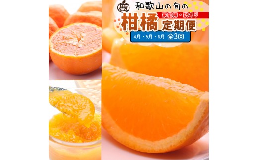 家庭用 柑橘定期便S（4～6月）全3回 ［IKE304］