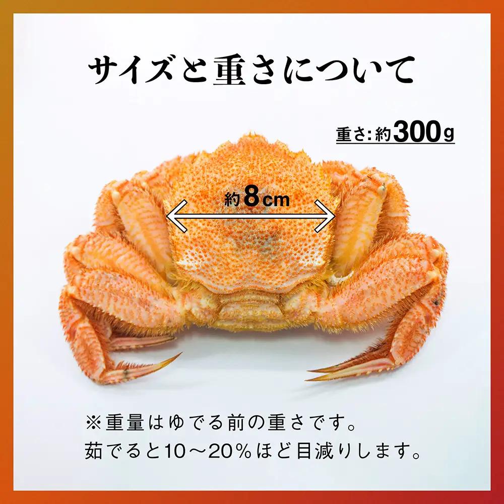 【令和9年発送】三陸産！活毛ガニセット 300g×10杯【08】【2027年2月～4月発送】