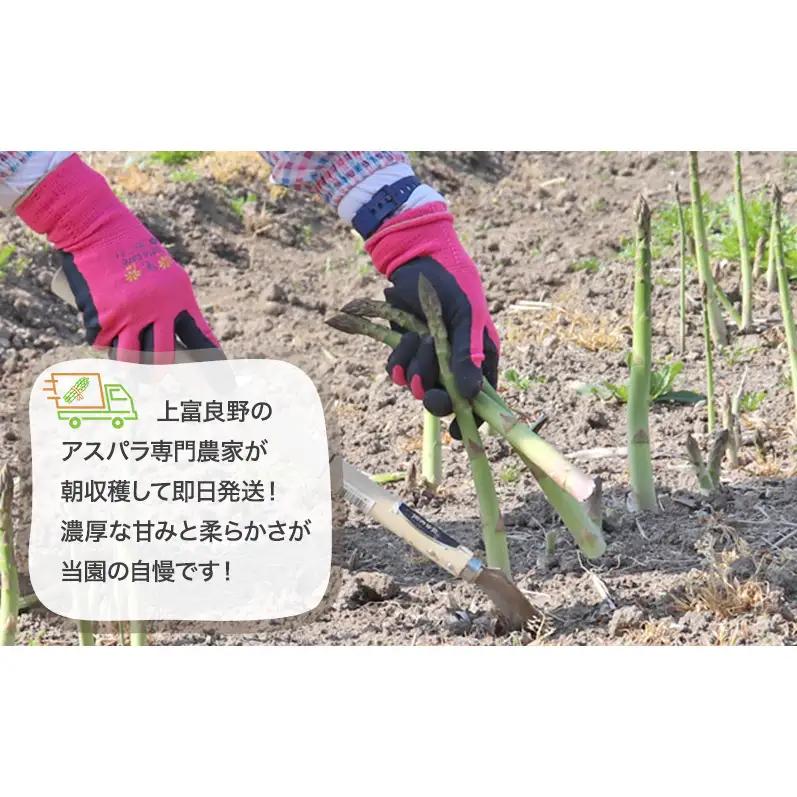 【令和8年産】アスパラガス グリーンアスパラ 2kg L～2L 原農園