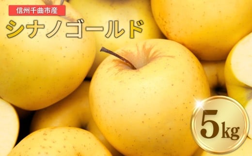 【2026年先行予約】りんご シナノゴールド 12~20玉 約5kg｜ リンゴ 林檎 フルーツ 果物 信州りんご 長野県産 千曲市 信州