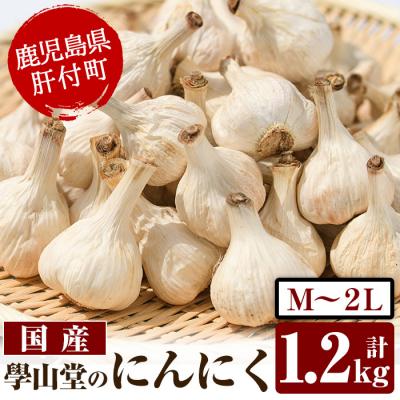 ふるさと納税 肝付町 【先行受付】5月中旬以降順次発送予定!學山堂のにんにく(計1.2kg)国産 にんにく　A69001