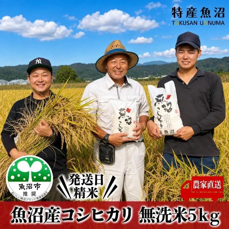 令和7年産 農家直送！ 魚沼産 コシヒカリ 無洗米 5kg |コシヒカリ