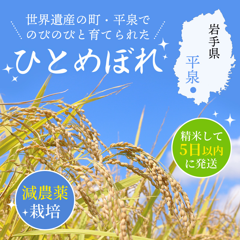 【令和6年産】平泉町産 ひとめぼれ 10kg（10kg×1袋）/ こめ コメ 米 お米 おこめ 精米 白米 ご飯 ごはん ライス ひとめぼれ 平泉COMeeeeN【com400-hito-10-1B】