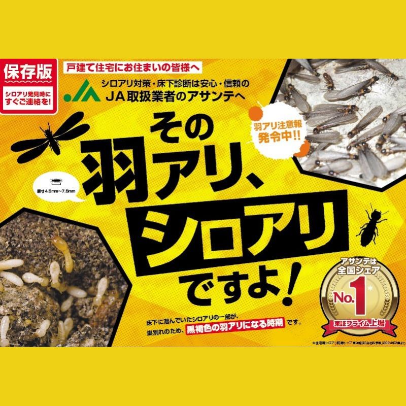 【ふるさと納税】No.2882 シロアリ防除作業　10平米【施工場所：福島市内限定】