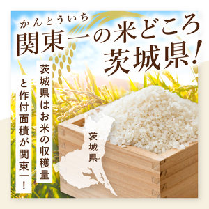 【数量限定】【令和7年産】茨城県産コシヒカリ 那珂川の清流 ホタル米5kg（茨城県共通返礼品/城里町）お米 こめ コメ ごはん 精米 こしひかり 特A評価 単一米 安心 安全 白米 生産者直送 高評価
