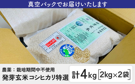 【令和7年産】発芽玄米 コシヒカリ「特選」特別栽培米使用 2kg×2袋（計4kg）【米 こしひかり 玄米 ギャバ GABA 特別栽培 食物繊維 栄養 真空パック ごはん ご飯 おいしい ふるさと納税米