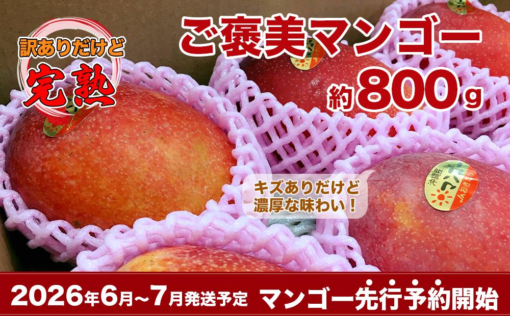 【ふるさと納税】【2026年発送・先行予約】自分へのご褒美アップルマンゴー　約800g