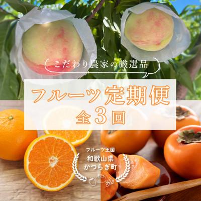 ふるさと納税 かつらぎ町 【発送月固定定期便】フルーツ定期便　品質に自信あり!道の駅よりこだわり農家厳選品!全3回