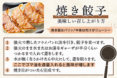 　佐賀産牛・佐賀産豚の手作りギョーザ　５パック B-86