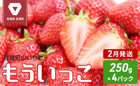【2月発送】いちご 亘理町のいちご もういっこ 250g × 4パック オンライン決済限定 先行受付中 苺 果物 フルーツ イチゴ セット