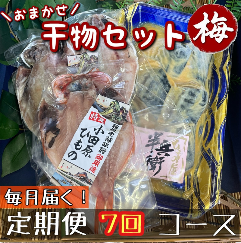 【毎月定期便7回】厳選！小田原の旬の干物セット 梅【 まぐろや 神奈川県小田原市 】 142069_DQ277