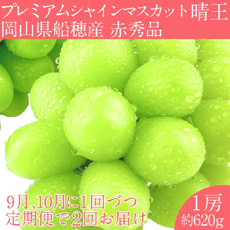 
                  2026年 予約受付中【2回定期便】 プレミアム シャインマスカット 晴王 1房約620g/ 岡山県 船穂産 赤秀品 種無し 皮ごと食べる みずみずしい 9月10月にお届け フレッシュ 晴れの国 おかやま 果物大国 彩美菜果
                