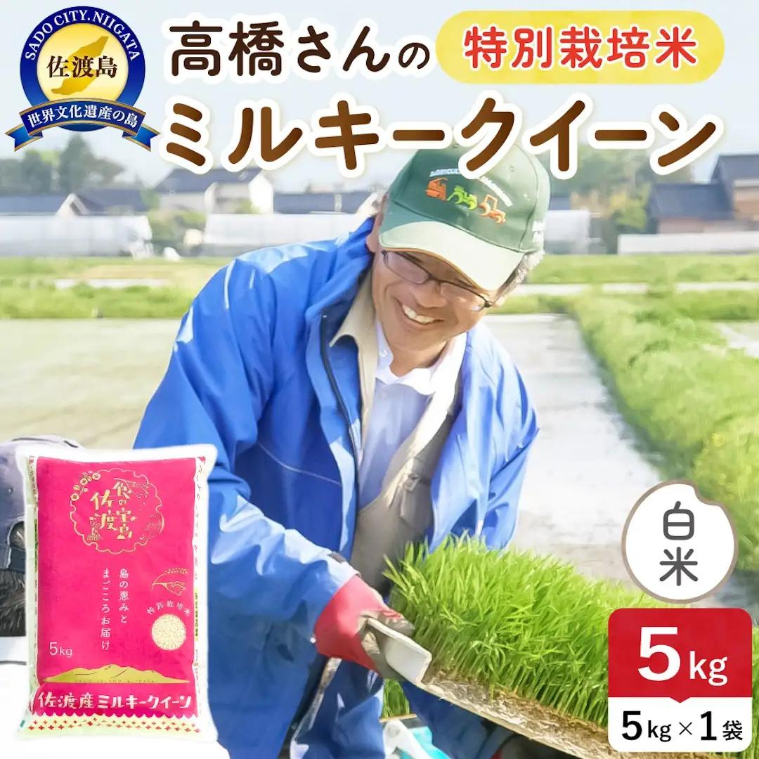 令和8年産 佐渡島産ミルキークイーン 白米5kg 特別栽培米 195962-071302