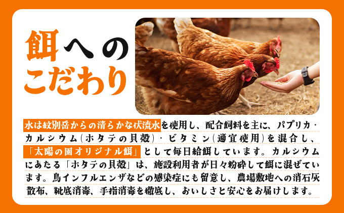 3ヵ月連続お届け  たまごの心 40個 Lサイズ  太陽の園  の平飼たまご  有精卵 北海道 伊達市 たまご 卵 生たまご 鶏卵 北海道産 鶏の卵 ポリスブラウン 食材 卵かけごはん TKG オムレ