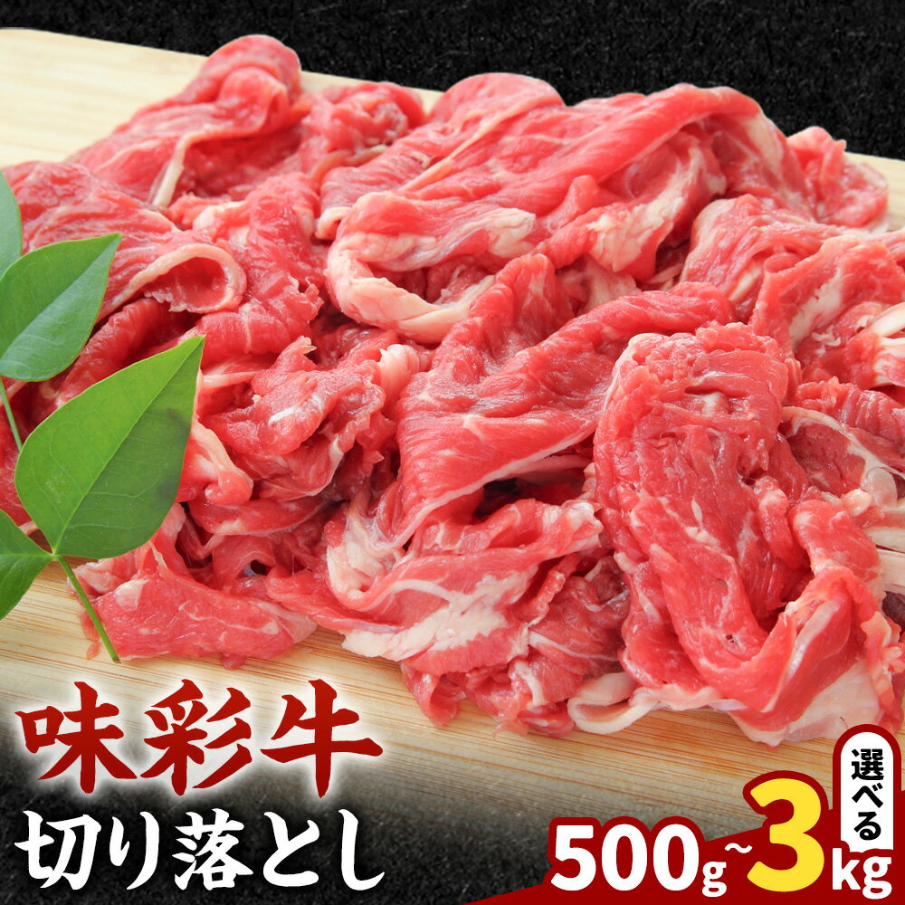 【ふるさと納税】味彩牛 切り落とし 選べる内容量 1パック500g 500g 1kg 1.5kg 2kg 2.5kg 3kg のぐち産業株式会社《90日以内に出荷予定(土日祝除く)》熊本県 菊池市 牛肉 スライス お肉 精肉 熊本県産 九州産 国産 冷凍 送料無料