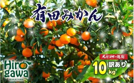 訳あり ご家庭用 農家直送 有田みかん 10kg サイズ混合 光センサー選別 ＜※11月中旬～翌年1月中旬に順次発送予定＞ ※北海道・沖縄・離島への配送不可 / 温州みかん みかん 訳あり わけあり 家庭用【nuk004-noka-c10A】