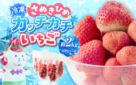【冷凍いちご】森のいちごのカッチカチいちご【さぬきひめ】　2kg|いちご 苺 ストロベリー さぬき姫 さぬきひめ 香川県オリジナル 希少 甘い 完熟 フルーツ 冷凍 果物 旬 香川県 三木町|_mk0