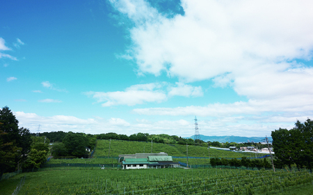 BIWAワインセット　栗東市 / 太田酒造株式会社 [BIAC013]