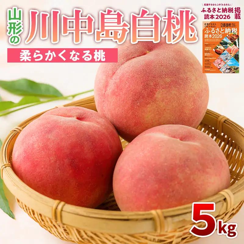 山形の川中島白桃 5kg (10～16玉) [柔らかくなる桃]【令和8年産先行予約】FS24-565 くだもの 果物 フルーツ 山形 山形県 山形市 2026年産