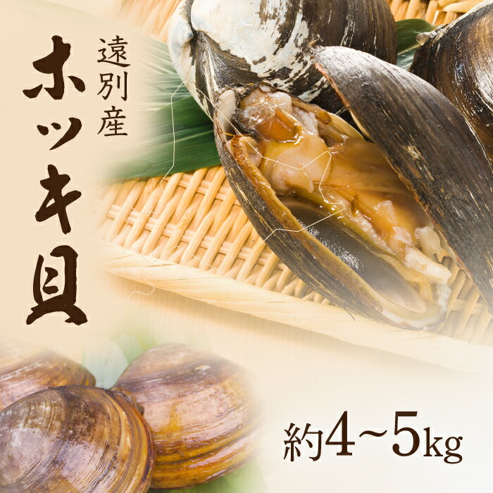 【ふるさと納税】北海道遠別町 ホッキ貝 約4〜5kg｜北の海の旨みを味わう旬の貝【R8年8月中旬より順次発送・事前予約】