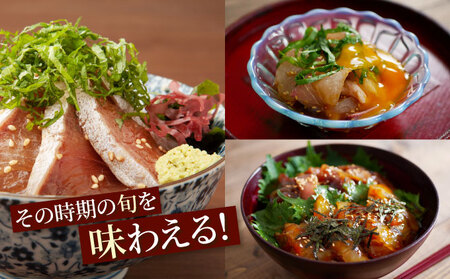 板前特製たれ仕込み！初音の旬の魚の漬け丼セット【６回定期便】 _hn078