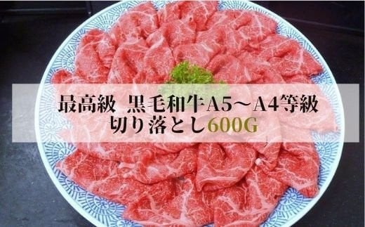 
No.1289最高級　黒毛和牛 切り落とし 600g 特選福島牛A5～A4等級
