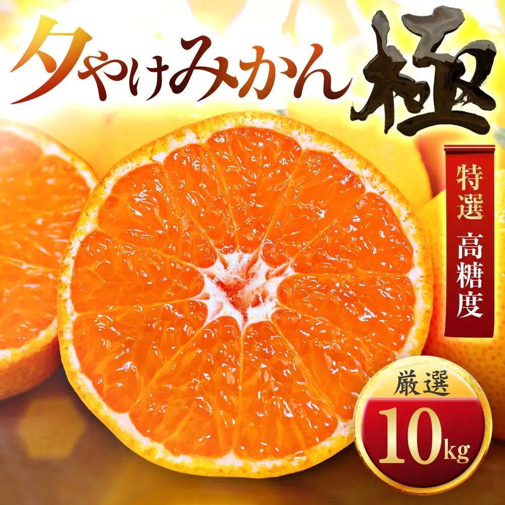 【甘みが濃縮されたみかん】愛媛で育った夕やけみかん【極】10kg(小玉)【G49-28】【1508880】 YWTZ020