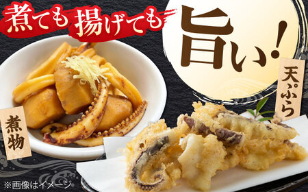 ヤリイカ お刺身用 1kg 《対馬市》【海風商事】 小分け 刺身 いか イカ ヤリイカ 新鮮 海鮮 冷凍[WAD054]