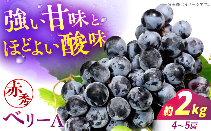 【先行予約】【9月上旬から9月中旬に順次発送】 ぶどう ベリーA 2kg（4から5房） 赤秀 露地栽培 マスカット ブドウ 果物 くだもの フルーツ ぶどう 葡萄 三次市/西田ぶどう園 [APCM01