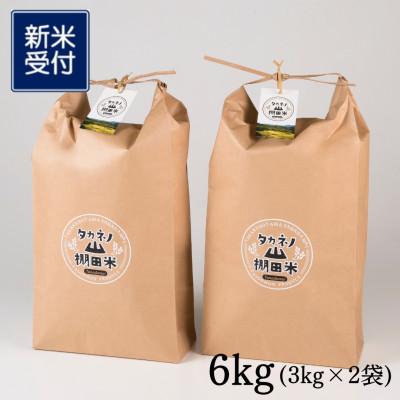 ふるさと納税 村上市 【新米受付・令和8年産】新潟県村上市岩船産棚田米コシヒカリ6kg精米(3kg×2袋)1011008N