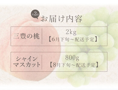 フルーツ定期便 2回 三豊市 三豊の桃 2kg 特大シャインマスカット 800g【配送不可地域：北海道・沖縄県・離島】_M02-0207