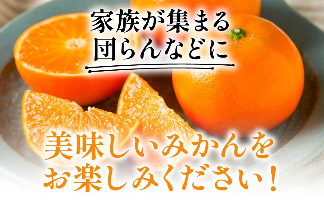 【先行予約】 八代市東陽町産の 「熊本EC12みかん」 約3kg みかん 柑橘 フルーツ 果物 果実 ミカン 蜜柑 熊本県 八代市 【2026年12月上旬より順次発送】