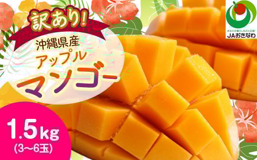 ＜2025年発送予定・訳あり＞アップルマンゴー1.5kg(3～6玉)_ マンゴー フルーツ 果物 くだもの アップルマンゴー 人気 おすすめ 送料無料 訳あり 数量限定 期間限定 傷 規格外 完熟 沖縄県 冷蔵 【1494040】
