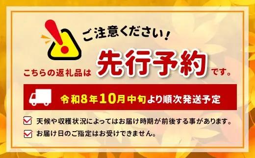 【贈答用・桐箱】 早秋 柿 ( 6個 / 1.8kg ) 1箱 先行予約 令和8年10月中旬順次発送 | さのっち農園