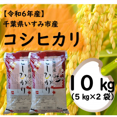 
            ＜令和6年産米＞　千葉県いすみ市産　コシヒカリ精米10kg(5kg×2袋)【1546629】
          