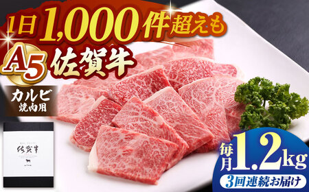 【全3回定期便】佐賀牛 A5 カルビ400g焼肉用 HAD094 カルビ BBQ