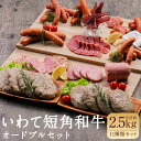 【ふるさと納税】いわて短角和牛オードブルセット 11種類セット 合計2.48kg ウインナー ウィンナー ソーセージ ジャーキー 短角牛スモーク ボロニア ミートローフ ハンバーグ チーズハンバーグ 二戸市産 岩手県産 国産 冷凍 送料無料