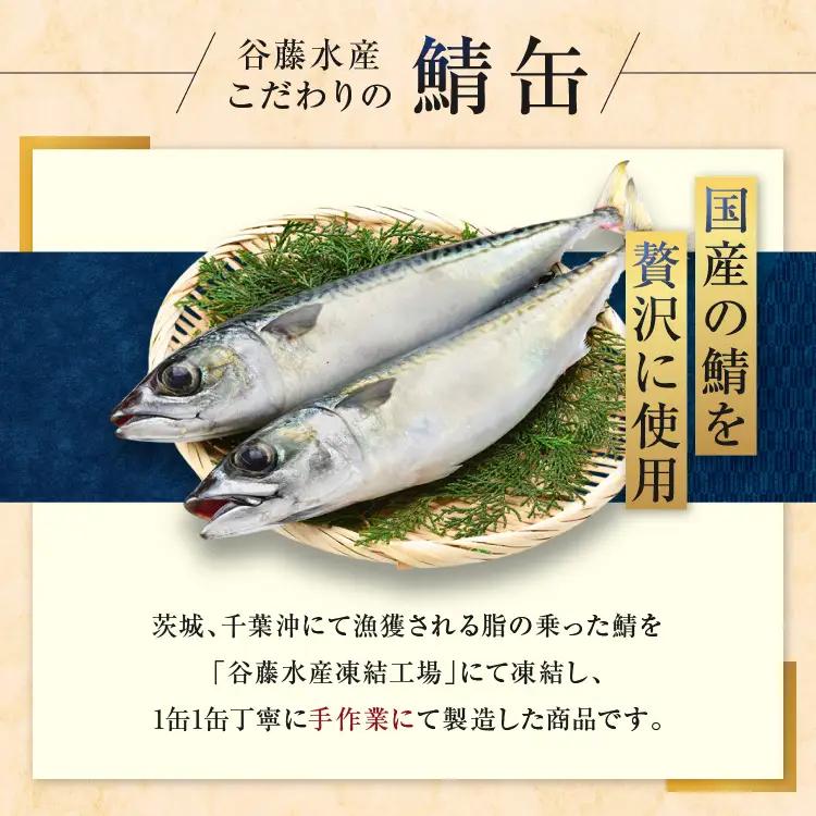 さば 缶詰 水煮 24缶 国産 さば缶 _AL002