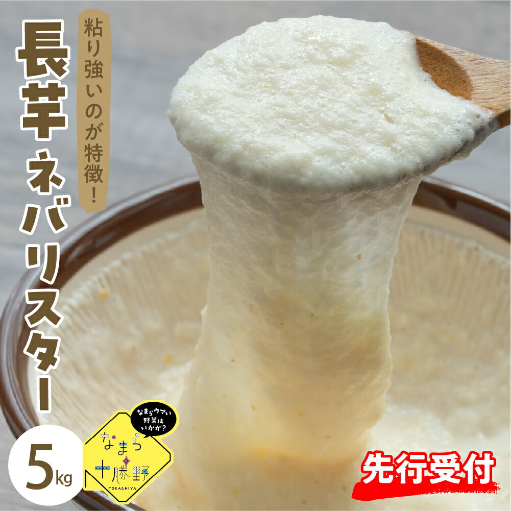 【ふるさと納税】【先行受付】【2025年12月中旬より順次発送】なまら十勝野 の 中捨農場 ながいも ネバリスター 5kg長芋 いも 野菜 やさい 根菜 送料無料 北海道 十勝 芽室町