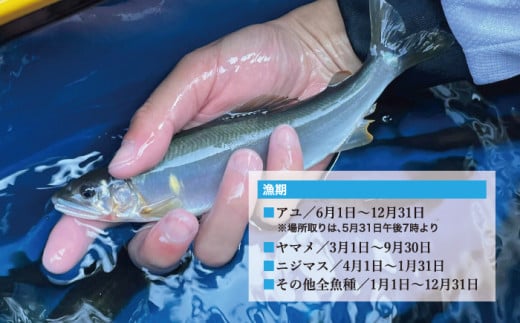 一ツ瀬川年間遊漁券