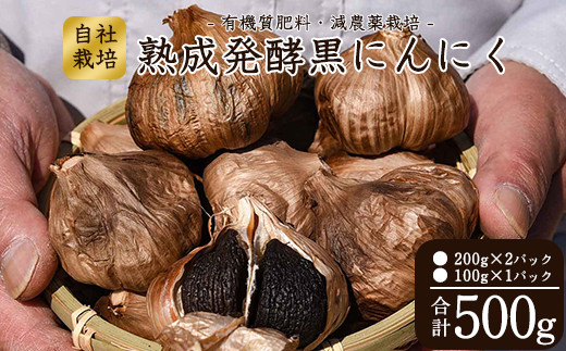 
こだわり農家の減農薬栽培「発酵熟成 黒にんにく」500g 山形県産　012-G-JF011
