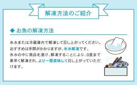 訳あり 超冷薫 ブリ ブロックカット 1.2kg オンスイ 鰤 ぶり 不揃い 加工 真空パック 刺身 漬け丼 魚介 海鮮 海産物 急速冷凍 特許技術 小分け 冷凍 ブリしゃぶ 鰤しゃぶ 産地直送 国産
