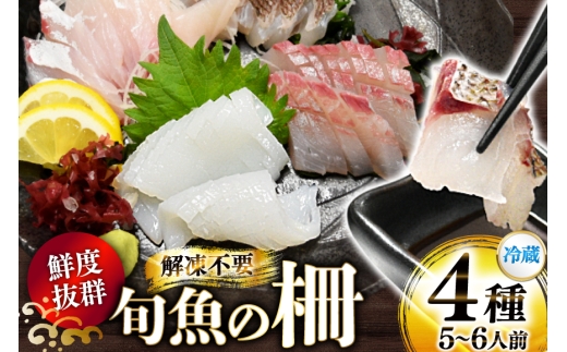 刺身 鮮魚 旬魚 の柵4種 セット （刺身3種＆ イカ 1種）（5～6人前） [舘浦漁業 長崎県 平戸市 hr42bgy420002] おつまみ おつまみ 柵 冷蔵 新鮮 海鮮 盛り合わせ 旬 切るだけ 真空パック