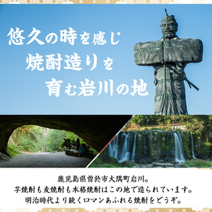 ＜定期便・全3回(連続)＞鹿児島本格麦焼酎！麦王パック(1.8L×6本×3回) 定期便 麦焼酎 セット【岩川醸造】T7