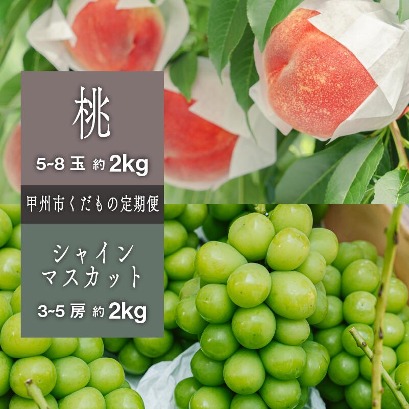 【ふるさと納税】桃 シャインマスカット 果物 フルーツ 定期便 2回 約2kg もも 5～8玉 シャイン マスカット 3～5房 山梨 甲州市産 期間限定 2025年発送 7月 8月 9月 10月 発送 人気 厳選 セット 葡萄 社員マスカット （SHP） 【C8-474】