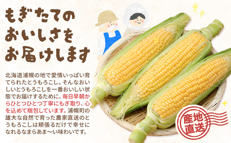 まぼろしの「ほしつぶコーン」18本 ジャンボサイズ とうもろこし おかだ農園 北海道 浦幌町産 【7月末‐8月中旬頃出荷】 安心安全 こだわりの栽培 朝もぎたて 産地直送 朝採り スイートコーン