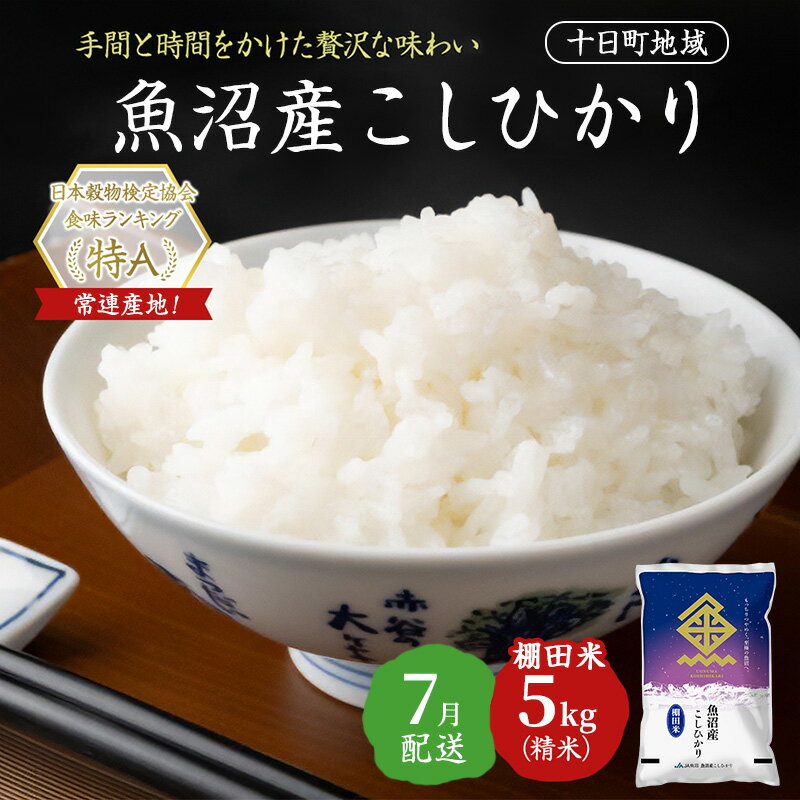 【ふるさと納税】【令和7年産米】魚沼産こしひかり 棚田米(十日町地域) 精米 5kg 7月配送 お米 精米 こめ ご飯 白米 旧：五郎兵衛　お届け：2026年7月上旬～7月下旬