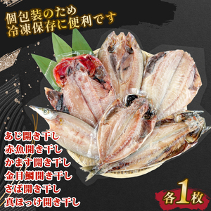 干物 6種 6枚セット 個包装 干物