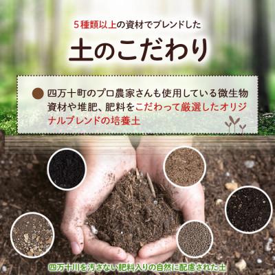 ふるさと納税 四万十町 味と収穫量が違う、プロ仕様の培養土「四万十畑」2Lx2袋 |  | 01